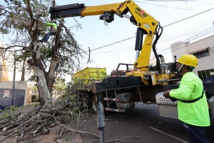 As ações têm como objetivo garantir mais segurança à população e reduzir riscos de acidentes causados pela queda de galhos. (Foto: A. Frota)