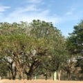 Na, Capital os termômetros devem chegar aos 36°C - Foto: Arquivo 