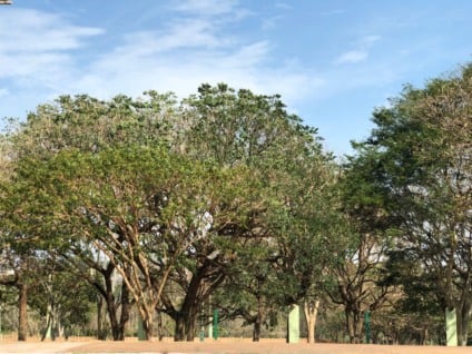 Na, Capital os termômetros devem chegar aos 36°C - Foto: Arquivo  Na, Capital os termômetros devem chegar aos 36°C - Foto: Arquivo