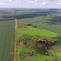 Imagem aérea da Terra Indígena Guyraroka (Foto: Olácio Komori/Arquivo Cimi)