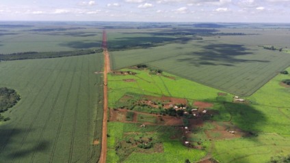 Imagem aérea da Terra Indígena Guyraroka (Foto: Olácio Komori/Arquivo Cimi)