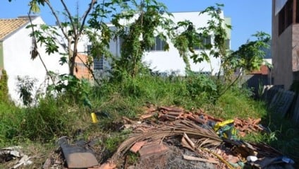 Terrenos com entulhos servem de criadores para vetores de doenças (Foto: Reprodução/ MPMS)