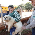 A recomendação é que os animais, a partir dos três meses de idade, tomem a dose da vacina anualmente. (Foto: A. Frota)