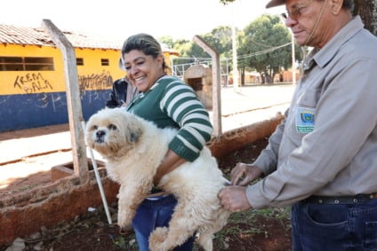 A recomendação é que os animais, a partir dos três meses de idade, tomem a dose da vacina anualmente. (Foto: A. Frota)