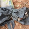 Corpo foi encontrado por trabalhadores que passavam pelo local / Foto: Reprodução