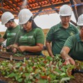 Formação técnica no agro: inscrições abertas e início em fevereiro de 2026 - Foto: Divulgação/ SENAR MS