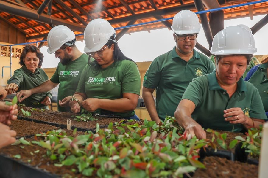 Formação técnica no agro: inscrições abertas e início em fevereiro de 2026 - Foto: Divulgação/ SENAR MS