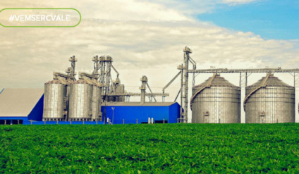 Setor agroindustrial oferece oportunidade para encarregado operacional no MS