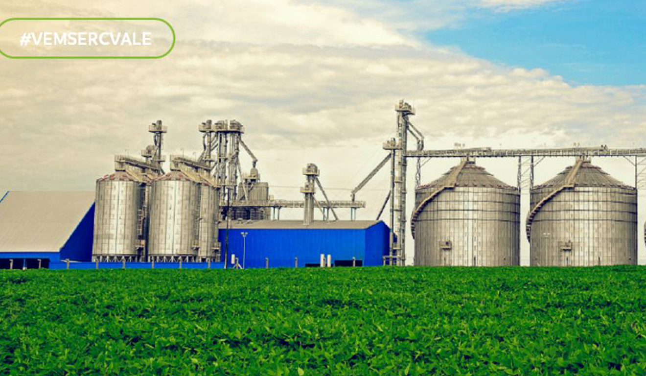 Setor agroindustrial oferece oportunidade para encarregado operacional no MS