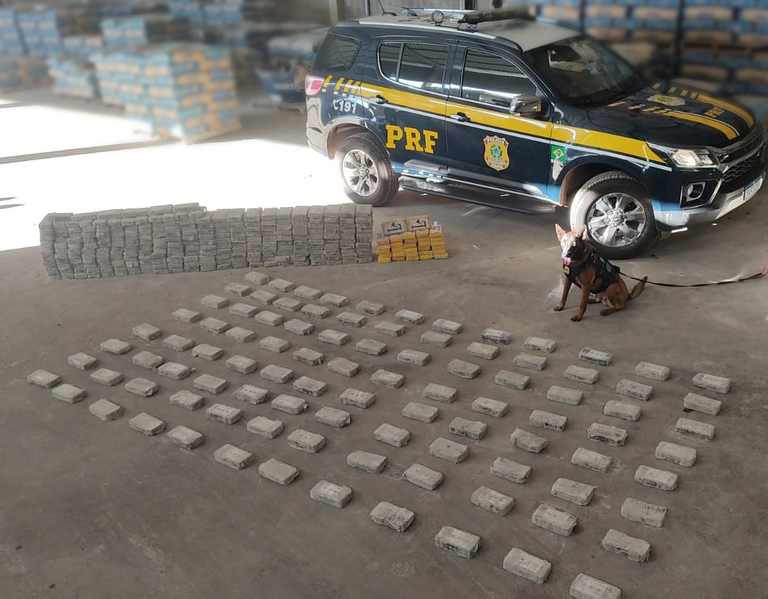 Dezenas de tabletes camuflados estavam  entre os sacos de cimento - Reprodução/PRF
