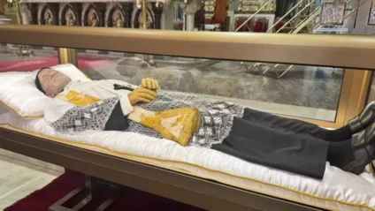 (Foto: Reprodução/ Divulgação)