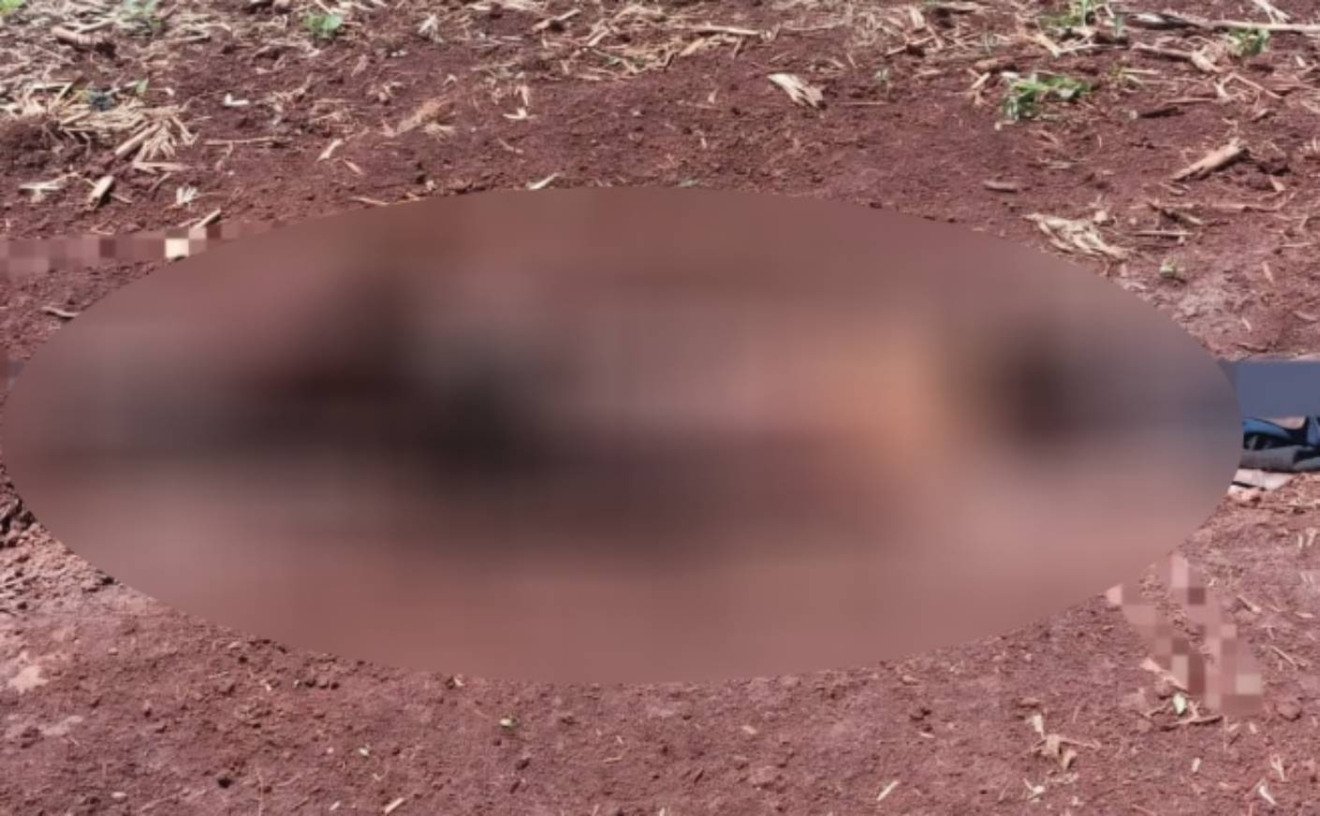 Corpo foi encontrado no dia 3/11, parcialmente enterrado em uma lavoura na zona rural de Nova Itamarati, distrito de Ponta Porã / Foto: Reprodução