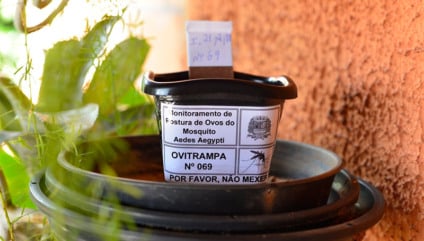 As ovitrampas são utensílios com água limpa parada que simulam um criadouro natural, onde a fêmea deposita seus ovos - Foto/Arquivo