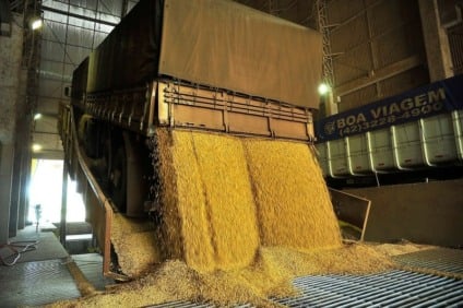 Cotações reagem com ajustes por praça e qualidade - Foto: Reprodução/ Canal Rural