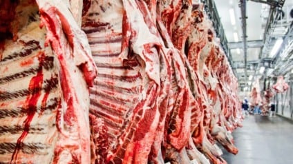 Impacto imediato pode aumentar o fluxo de exportações (Foto: Reprodução/ Abiec)