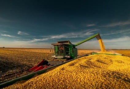 Levantamento de campo indica salto de produtividade e produção - Foto: Reprodução/ Aprosoja MS