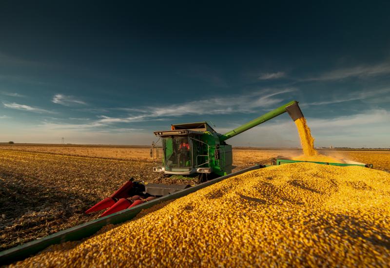 Levantamento de campo indica salto de produtividade e produção - Foto: Reprodução/ Aprosoja MS Levantamento de campo indica salto de produtividade e produção - Foto: Reprodução/ Aprosoja MS