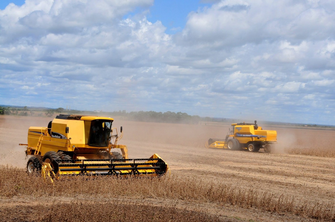 7️⃣ Agricultura continua líder, mas pecuária mostra ritmo acelerado de crescimento - Foto: Arquivo RCN67 7️⃣ Agricultura continua líder, mas pecuária mostra ritmo acelerado de crescimento - Foto: Arquivo RCN67