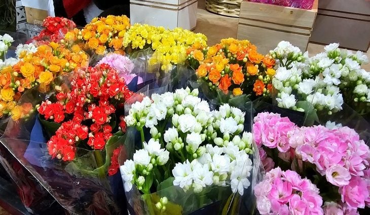 Pesquisa foi realizada em floriculturas, mercados e lojas de artigos religiosos - Reprodução/Agência de Notícias MS Pesquisa foi realizada em floriculturas, mercados e lojas de artigos religiosos - Reprodução/Agência de Notícias MS