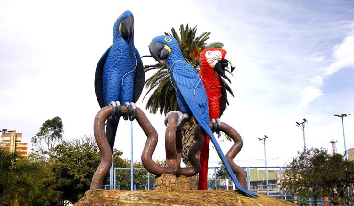 Índices mais baixos aparecem em expressões artísticas e eventos menores - Reprodução/Agência de Notícias MS