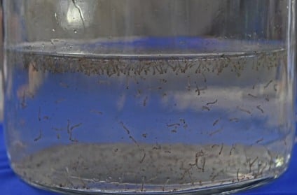 Crianças e adolescentes concentram o maior número de hospitalizações - Reprodução/SES