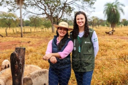 Produtora Nilza Oliveira observa rebanho de ovinos na Estância Primavera, em Terenos (MS)