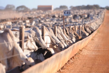 Produtores têm apenas sete dias para enviar a declaração semestral - Foto: Divulgação/Semadesc