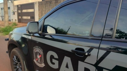 (Foto: Reprodução/ PCGO)