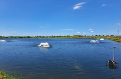 Mato Grosso do Sul conta atualmente com 3.324 hectares de piscicultura - Foto: Mairinco de Pauda/Semadesc