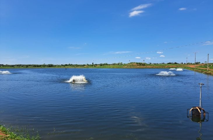 Mato Grosso do Sul conta atualmente com 3.324 hectares de piscicultura - Foto: Mairinco de Pauda/Semadesc Mato Grosso do Sul conta atualmente com 3.324 hectares de piscicultura - Foto: Mairinco de Pauda/Semadesc