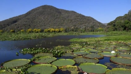 (Foto: Reprodução/ Governo de MS)