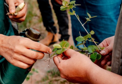 Expedição reúne ciência e tradição para recuperar áreas atingidas no território Kadiwéu