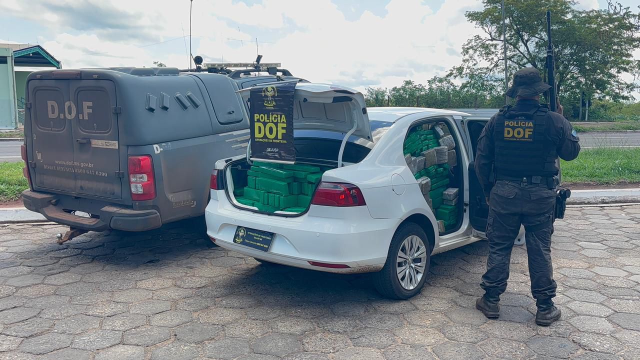 Entorpecentes foram avaliados em mais de R$ 1,4 milhão - Foto: Divulgação/DOF