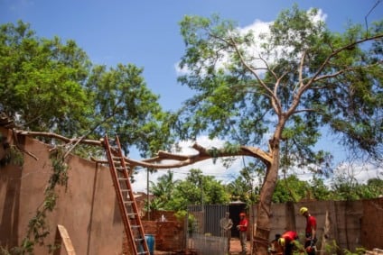 Atendimentos se concentraram principalmente em quedas de árvores - Foto: Divulgação/CBMMS