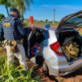 PRF apreende mais de 800 quilos de maconha e recupera dois veículos furtados em operações na BR-262