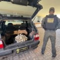 Droga estava escondida em compartimento oculto em veículo / Foto: DOF/Reprodução