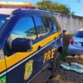 PRF apreende mais de 100 quilos de drogas após perseguição na BR-262 em Água Clara