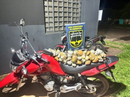 Apreensão totalizou R$ 795 mil / Foto: BPMRv/Divulgação