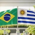 Ministros de Brasil e Uruguai selam acordo sobre bioinsumos em conferência em Brasília