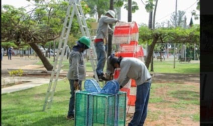 Luzes de Natal serão acesas na abertura da programação festiva em Três Lagoas