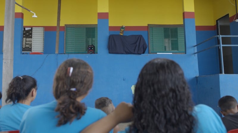 A ação envolveu mais de 40 estudante pantaneiros (Foto: Reprodução/ IHP)