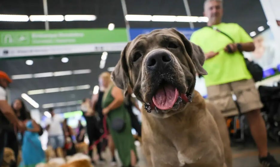 Legislação do Rio de Janeiro determinou gratuidade do serviço / Foto: Fabio Rodrigues-Pozzebom/Agência Brasil/Reprodução