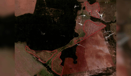 investigação busca responsabilização e recuperação da vegetação nativa (Foto: Reprodução/ MPMS)