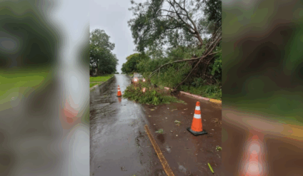 Chuva forte causou quedas de galhos e fios de energia em vários pontos de Amambai (Foto: Reprodução/ Amambaí Notícias)