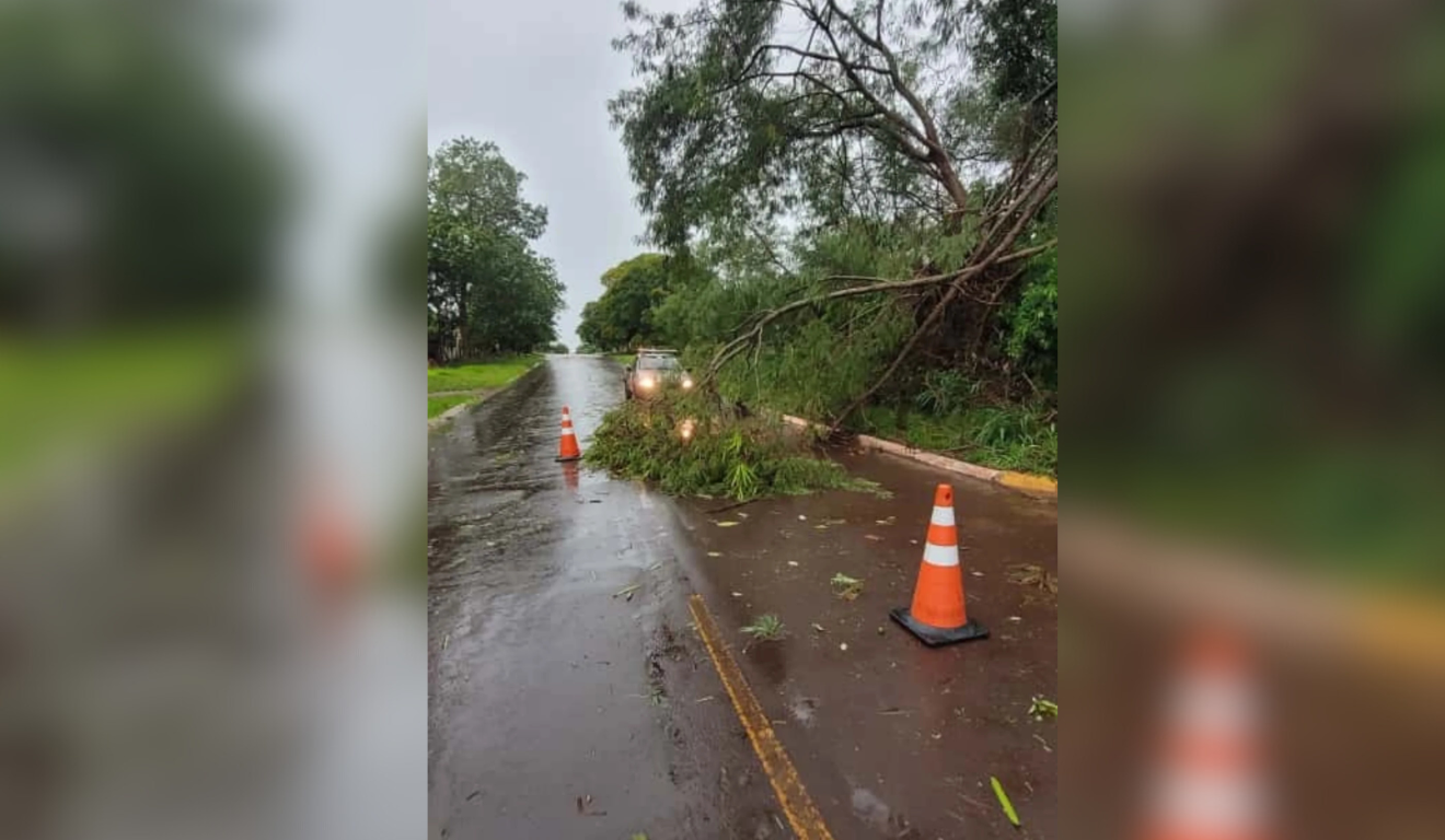 Chuva forte causou quedas de galhos e fios de energia em vários pontos de Amambai (Foto: Reprodução/ Amambaí Notícias)