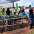 Formação técnica mira empregabilidade e aderência às cadeias do agro - Foto: Reprodução/ SENAR MS 