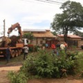 Equipes da Prefeitura trabalham na remoção de árvores caídas após o temporal - Foto: Divulgação/ Prefeitura de CG