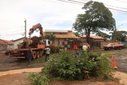 Equipes da Prefeitura trabalham na remoção de árvores caídas após o temporal - Foto: Divulgação/ Prefeitura de CG