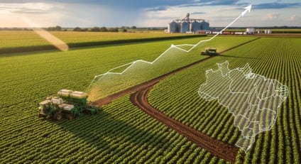 Plantio de soja com nuvens carregadas no horizonte