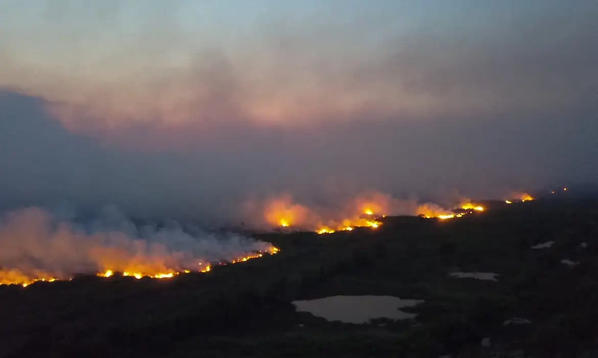 Incêndio nos municípios de Miranda e Corumbá, em 2019 (Foto: Reprodução/ Governo de MS)